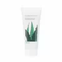 Chungmijung Alkalescent Aloe Cleansing Foam 200ml