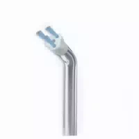 Wp Ps 100e Waterpik Plaque Seeker Tip 2 St