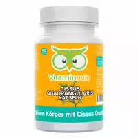 Cissus Quadrangularis Kapseln 400 Mg 10:1 Extrakt Vitamineule