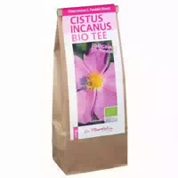 Cistus Incanus Bio Original Dr Pandalis 250 g Tee