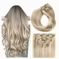 Clip in Extensions 55cm 100g #p18 613 Aschblond mit Bleichbl 1 st