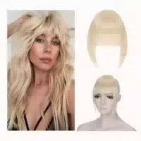Pony Haarteil Clipin Franse Bang Glatt 2 Clips 30 g Natursch 1 st