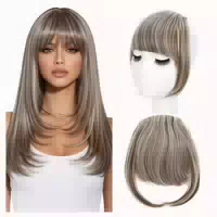Pony Clip in Haarteil Synthetisch Golden Gemischt mit Blondi 1 st