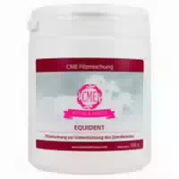 Cme Equident