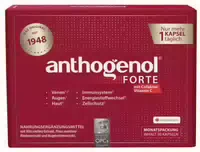 Anthogenol Forte 30 St Kapseln