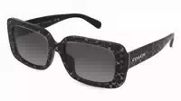 Coach Hc8380u 1er Packung