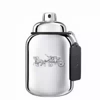 Coach Platinum Eau De Parfum Edp 60 ml