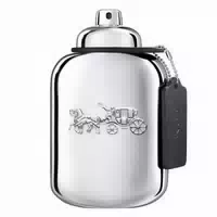 Coach Platinum Eau De Parfum Edp 100 ml