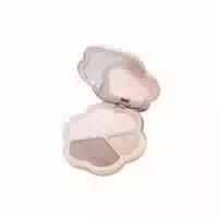 Colorrose 3 Color Contour Powder Palette 8g Cr726 Glossy