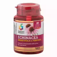 Colours Of Life Echinacea Angustifolia und Purpurea 60 st
