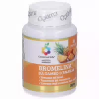Colours Of Life Bromelain aus Ananasstielen 30 st