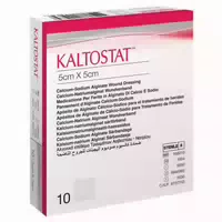 Kaltostat Kompressen 5x5 cm 1x10 st Kompressen