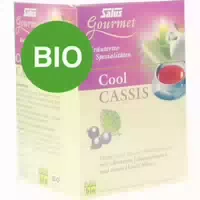 Salus Cool Cassis Kräuter Früchte Tee 15 St Filterbeutel
