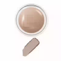 Too Cool For School Veiled Contour 7 2g Chestnut