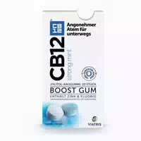 Cb12 Boost Strong Mint Kaugummi Gegen Mundgeruch Zuckerfrei
