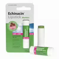 Echinacin Lipstick Madaus Care Sun 4 8 g Stifte