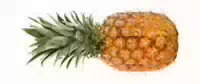 Ananas Extra Sweet