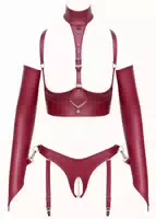 Ouvert Set im Bondage Style