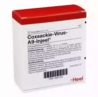 Coxsackie Virus A9 Injeel Ampullen 10 St Ampullen