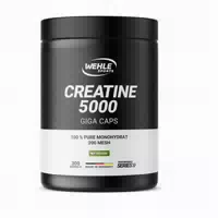 Creatine 5000 Monohydrat Kreatin Kapseln Von Wehle Sports