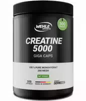Creatine Monohydrat 600 Kapseln A 1000mg Kreatin Wehle Sports