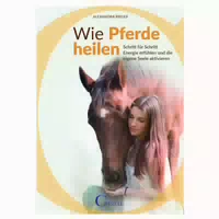 Wie Pferde Heilen