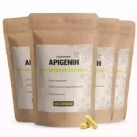 Cupplement Ginkgo Biloba Kapseln 100 mg Multipack