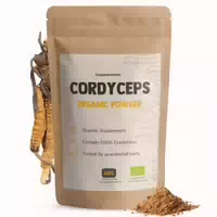 Cupplement Chaga Pulver Bio