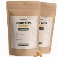 Goyu Reishi Pilz Extrakt Kapseln 400 mg Kombipack