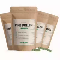 Cupplement Kiefernpollen Kapseln 500mg Kombipack