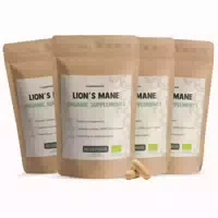 Goyu Lions Mane Kapseln Hericium Erinaceus 500 mg Bio Multipack