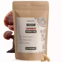 Goyu Reishi Extrakt 400 mg Kapseln 60 st