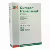 Curapor Wundverband Steril Transparent 10x15 cm