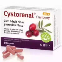 Cystorenal Cranberry Plus für eine Gesunde und Starke Blase, mit Kürbiskernextrakt, Vitamin B2 und C