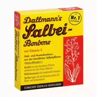 Dallmann´s Salbei Bonbons Mit Vitamin C 20 St Bonbons