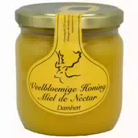 Damhert Blütenhonig