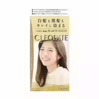 Dariya Cleodite Cleary Hair Color For Gray Hair 1 Set Bitter Brown