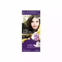 Dariya Salon De Pro Foam Hair Color Extra Rich 1 Set 4a Ash Brown