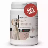 Darm Prebiotic Reavet