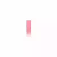 Dasique Juicy Dewy Tint 3 5g 10 Berry Choux