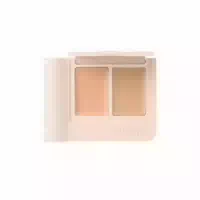 Dasique Pro Cover Dual Concealer Palette 2 4g 22 Medium