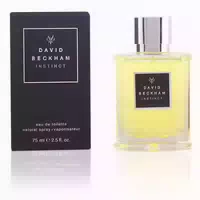 David Beckham Instinct Eau De Toilette Spray 75ml 0,075 l