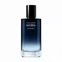 Davidoff Cool Water Reborn Eau De Parfum Für Den Mann Cool Water Reborn Edp 100ml