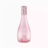 0.1 l