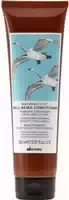 Davines Natural Tech Well Being Conditioner