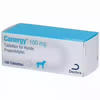 Canergy 100mg Tabletten für Hunde Propentofyllin