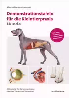Demonstrationstafeln für die Kleintierpraxis Hunde Bildmaterial für die Kommunikation zwischen Ti