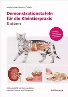 Demonstrationstafeln für die Kleintierpraxis Katzen Bildmaterial für die Kommunikation zwischen T