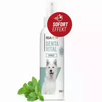 Denta Vital Spray Für Hunde Reavet