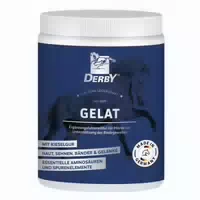 Derby Gelat Für Pferde